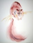 "Red Squirrel" by Klaus Meyer Gasters - vintage 1970's/1980's offset lithograph reproduction watercolour collectible fine art print (size approx. 15 x 18.5 inches/ ca 38 x 47 cm) - KerrisdaleGallery.com