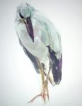 "Asian Openbill Stork", in German: "Silberklaffschnabel" by Klaus Meyer Gasters - vintage 1970's/1980's offset lithograph reproduction watercolour collectible fine art print (size approx. 15 x 18.5 inches/ ca 38 x 47 cm) - KerrisdaleGallery.com