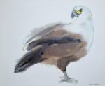 KerrisdaleGallery.com - Stock ID#mg034ph - "Seagull" by Klaus Meyer-Gasters - vintage offset lithograph watercolor reproduction art print. Extracted from the calendar printed in Germany 1970s-1980s.