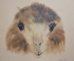 KerrisdaleGallery.com - Stock ID#mg038ph - "Pleasant Camel" by Klaus Meyer-Gasters - vintage offset lithograph art print. Printed in Germany 1970s-1980s.