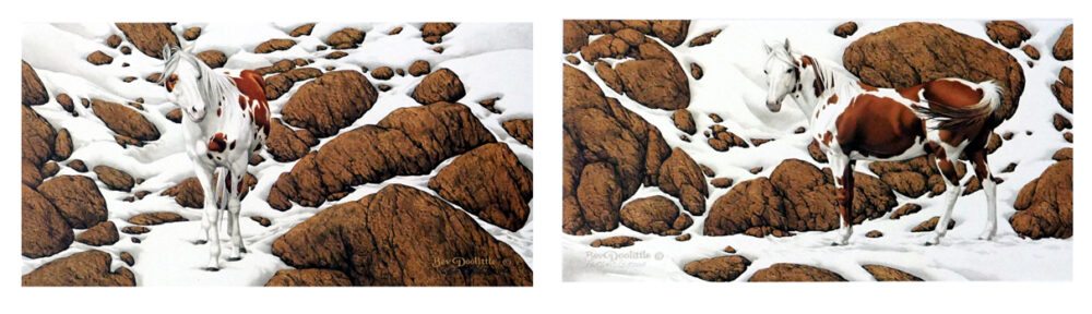 KerrisdaleGallery.com - Stock ID#DB900ph-sn-Px6 - "Hide and Seek" by Bev Doolittle - Portfolio of 6 art prints - 1990 Limited Edition, number 16564 of 25,000, each print hand-numbered by the artist and one hand-signed.
