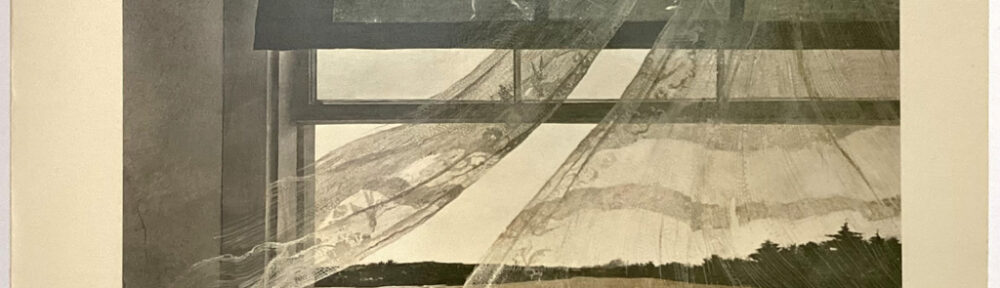 KerrisdaleGallery.com, Stock ID#WYE273bh - The Art of Andrew Wyeth by Andrew Wyeth (illustrations), Wanda Corn (preface, text) - published for The Fine Arts Museums of San Francisco by the New York Graphic Society, Boston - 1973 softcover book ISBN 10:0821206850